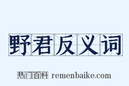 野君反义词是什么意思的图片